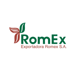 vavaaavava mesa de trabajo 1 02